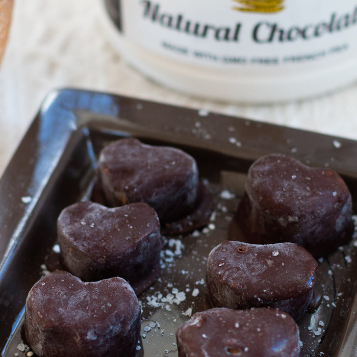 Salted Chocolate Vegan Icecream Bites